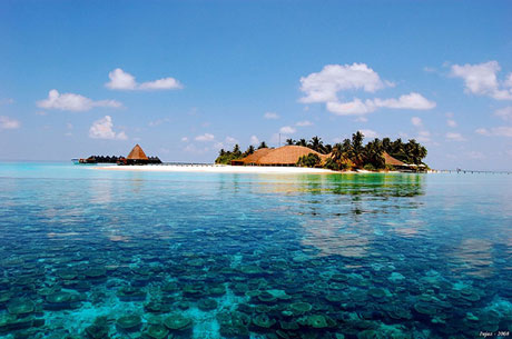 Maldive